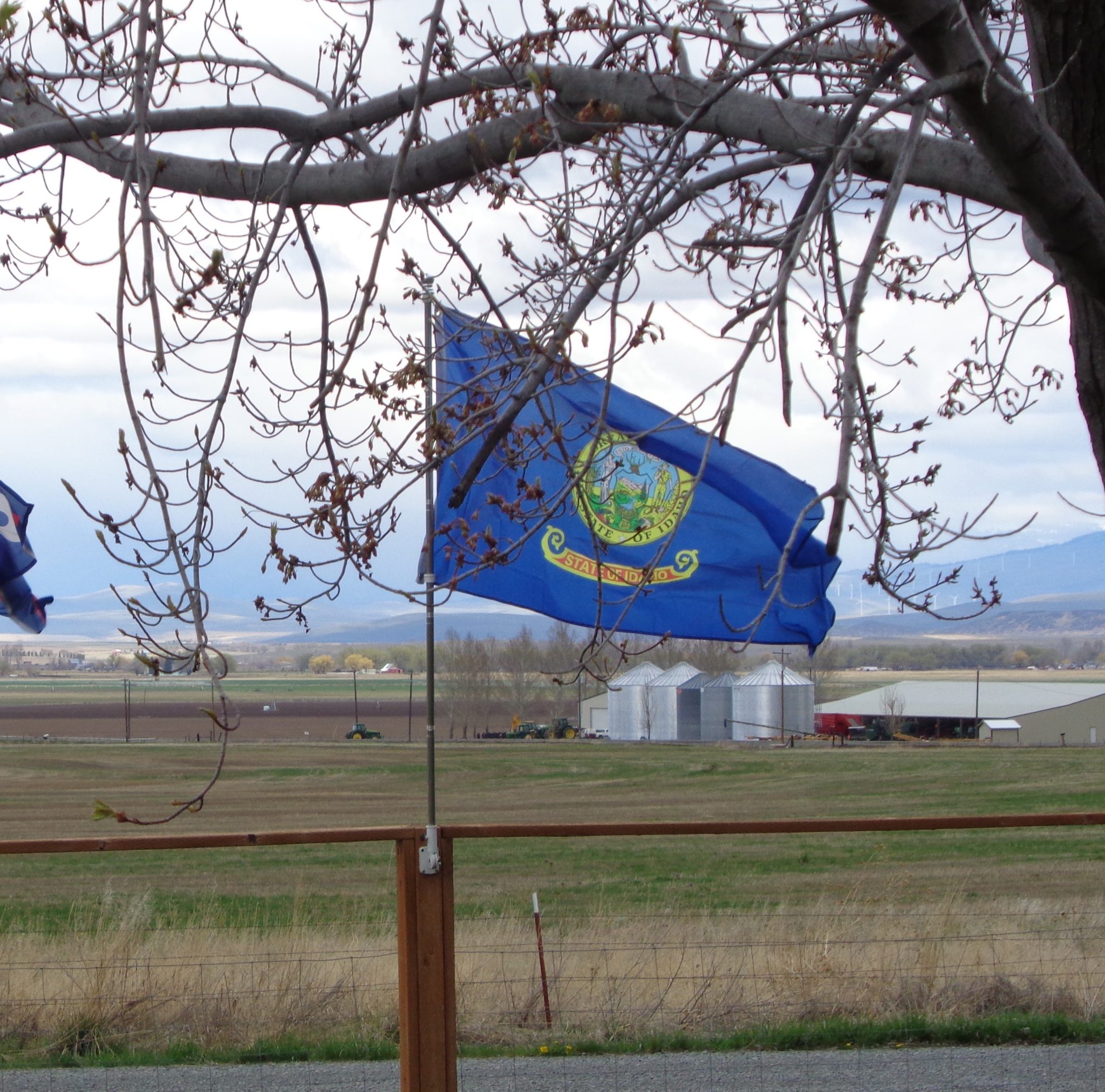Idaho-Flag-in-Haines-crop-2048x2024.jpg